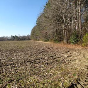 Photo of UNDER CONTRACT!  42.6 Acres of Timber and Farm Land For Sale in Sussex County VA!
