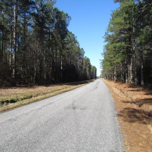 Photo of UNDER CONTRACT!  42.6 Acres of Timber and Farm Land For Sale in Sussex County VA!