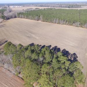 Photo of UNDER CONTRACT!  42.6 Acres of Timber and Farm Land For Sale in Sussex County VA!