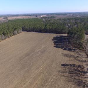 Photo of UNDER CONTRACT!  42.6 Acres of Timber and Farm Land For Sale in Sussex County VA!