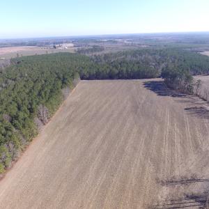 Photo of UNDER CONTRACT!  42.6 Acres of Timber and Farm Land For Sale in Sussex County VA!