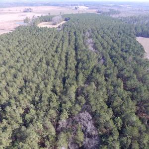 Photo of UNDER CONTRACT!  42.6 Acres of Timber and Farm Land For Sale in Sussex County VA!