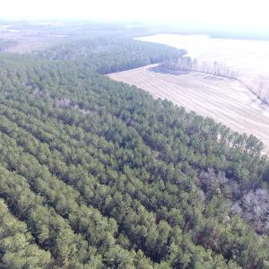 Photo of UNDER CONTRACT!  42.6 Acres of Timber and Farm Land For Sale in Sussex County VA!