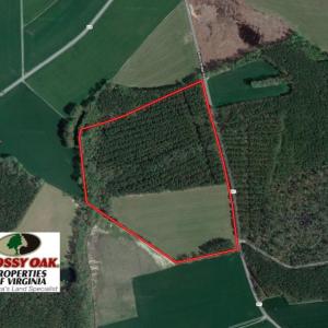 Photo of UNDER CONTRACT!  42.6 Acres of Timber and Farm Land For Sale in Sussex County VA!