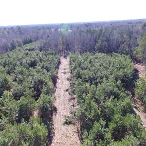 Photo of UNDER CONTRACT!  17.7 Acres of Residential and Hunting Land For Sale in Greensville County VA!