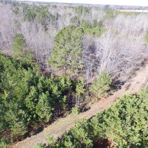 Photo of UNDER CONTRACT!  17.7 Acres of Residential and Hunting Land For Sale in Greensville County VA!