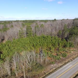 Photo of UNDER CONTRACT!  17.7 Acres of Residential and Hunting Land For Sale in Greensville County VA!