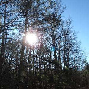 Photo of UNDER CONTRACT!  17.7 Acres of Residential and Hunting Land For Sale in Greensville County VA!