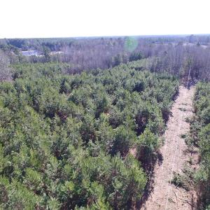 Photo of UNDER CONTRACT!  17.7 Acres of Residential and Hunting Land For Sale in Greensville County VA!