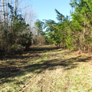 Photo of UNDER CONTRACT!  17.7 Acres of Residential and Hunting Land For Sale in Greensville County VA!