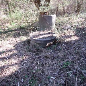 Photo of UNDER CONTRACT!  17.7 Acres of Residential and Hunting Land For Sale in Greensville County VA!