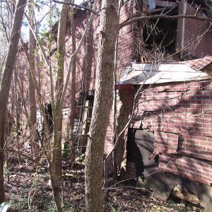 Photo of UNDER CONTRACT!  17.7 Acres of Residential and Hunting Land For Sale in Greensville County VA!