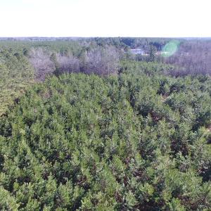 Photo of UNDER CONTRACT!  17.7 Acres of Residential and Hunting Land For Sale in Greensville County VA!