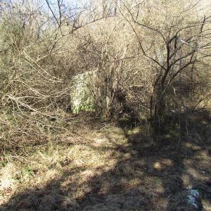 Photo of UNDER CONTRACT!  17.7 Acres of Residential and Hunting Land For Sale in Greensville County VA!