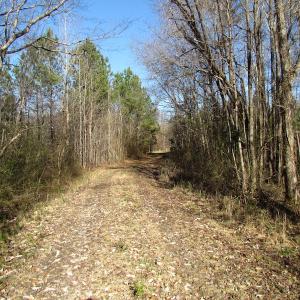 Photo of UNDER CONTRACT!  17.7 Acres of Residential and Hunting Land For Sale in Greensville County VA!