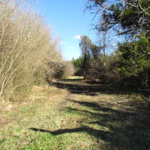 Photo of UNDER CONTRACT!  17.7 Acres of Residential and Hunting Land For Sale in Greensville County VA!