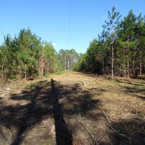 Photo of UNDER CONTRACT!  17.7 Acres of Residential and Hunting Land For Sale in Greensville County VA!