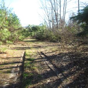 Photo of UNDER CONTRACT!  17.7 Acres of Residential and Hunting Land For Sale in Greensville County VA!