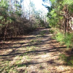 Photo of UNDER CONTRACT!  17.7 Acres of Residential and Hunting Land For Sale in Greensville County VA!