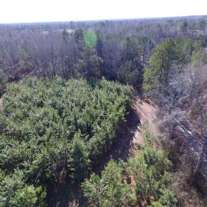 Photo of UNDER CONTRACT!  17.7 Acres of Residential and Hunting Land For Sale in Greensville County VA!