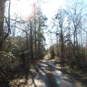 Photo of UNDER CONTRACT!  17.7 Acres of Residential and Hunting Land For Sale in Greensville County VA!