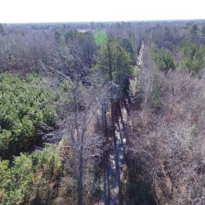 Photo of UNDER CONTRACT!  17.7 Acres of Residential and Hunting Land For Sale in Greensville County VA!