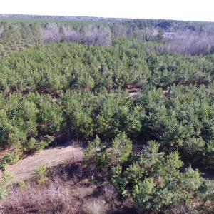 Photo of UNDER CONTRACT!  17.7 Acres of Residential and Hunting Land For Sale in Greensville County VA!