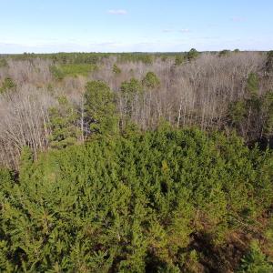 Photo of UNDER CONTRACT!  17.7 Acres of Residential and Hunting Land For Sale in Greensville County VA!