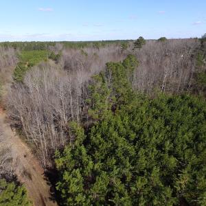 Photo of UNDER CONTRACT!  17.7 Acres of Residential and Hunting Land For Sale in Greensville County VA!