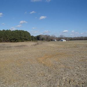 Photo of UNDER CONTRACT!  46.3 Acres of Farm and Timber Land For Sale in Nash County NC!