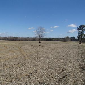 Photo of UNDER CONTRACT!  46.3 Acres of Farm and Timber Land For Sale in Nash County NC!