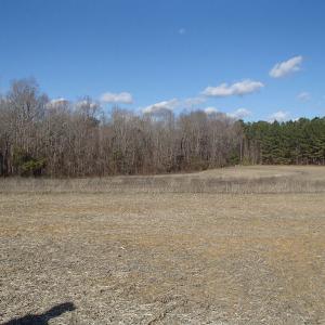 Photo of UNDER CONTRACT!  46.3 Acres of Farm and Timber Land For Sale in Nash County NC!