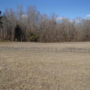 Photo of UNDER CONTRACT!  46.3 Acres of Farm and Timber Land For Sale in Nash County NC!