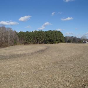 Photo of UNDER CONTRACT!  46.3 Acres of Farm and Timber Land For Sale in Nash County NC!