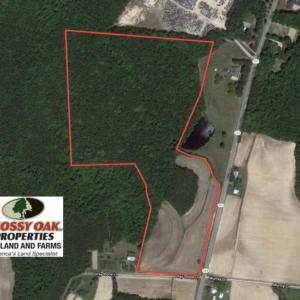 Photo of UNDER CONTRACT!  46.3 Acres of Farm and Timber Land For Sale in Nash County NC!