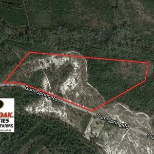 Photo of UNDER CONTRACT!  32 Acres of Residential Hunting and Timber Land for Sale in Bladen County NC!