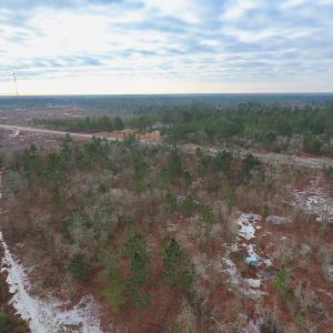 Photo of UNDER CONTRACT!  32 Acres of Residential Hunting and Timber Land for Sale in Bladen County NC!
