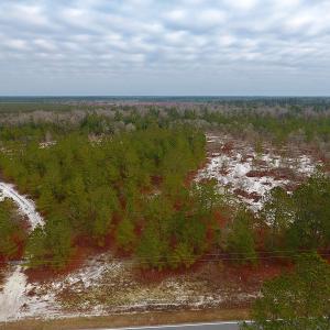 Photo of UNDER CONTRACT!  32 Acres of Residential Hunting and Timber Land for Sale in Bladen County NC!
