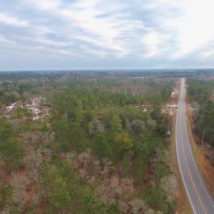 Photo of UNDER CONTRACT!  32 Acres of Residential Hunting and Timber Land for Sale in Bladen County NC!