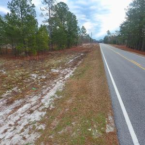 Photo of UNDER CONTRACT!  32 Acres of Residential Hunting and Timber Land for Sale in Bladen County NC!