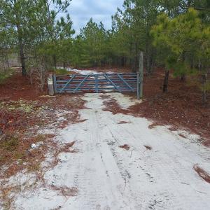 Photo of UNDER CONTRACT!  32 Acres of Residential Hunting and Timber Land for Sale in Bladen County NC!