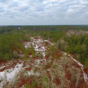 Photo of UNDER CONTRACT!  32 Acres of Residential Hunting and Timber Land for Sale in Bladen County NC!