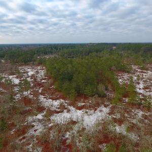 Photo of UNDER CONTRACT!  32 Acres of Residential Hunting and Timber Land for Sale in Bladen County NC!