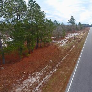 Photo of UNDER CONTRACT!  32 Acres of Residential Hunting and Timber Land for Sale in Bladen County NC!