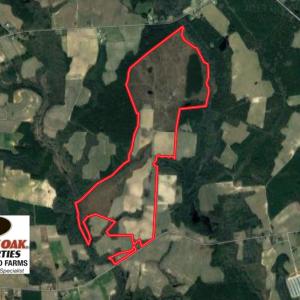 Photo of SOLD!  312 Acres of Farm and Hunting Land For Sale in Edgecombe County NC!