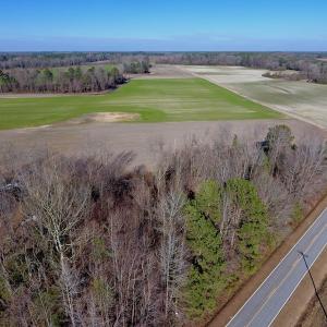 Photo of SOLD!  312 Acres of Farm and Hunting Land For Sale in Edgecombe County NC!