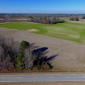 Photo of SOLD!  312 Acres of Farm and Hunting Land For Sale in Edgecombe County NC!