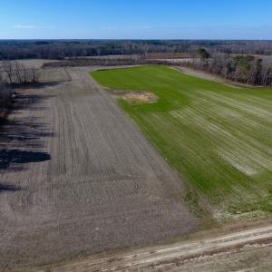 Photo of SOLD!  312 Acres of Farm and Hunting Land For Sale in Edgecombe County NC!