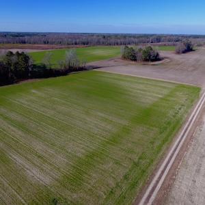 Photo of SOLD!  312 Acres of Farm and Hunting Land For Sale in Edgecombe County NC!