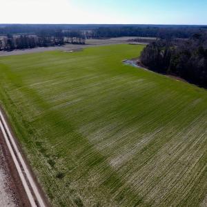 Photo of SOLD!  312 Acres of Farm and Hunting Land For Sale in Edgecombe County NC!
